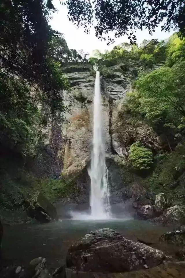 无忧国际wy6999